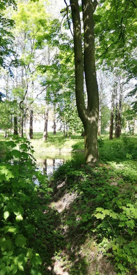 Dwor Komorowo Buitenkant foto